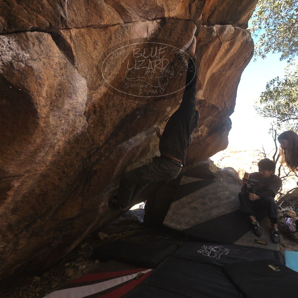 

Filename: SRM_20260118_1140340.jpg
Aperture: f/5.6
Shutter Speed: 1/500
Body: Canon EOS R6
Lens: Canon EF 16-35mm f/2.8 L