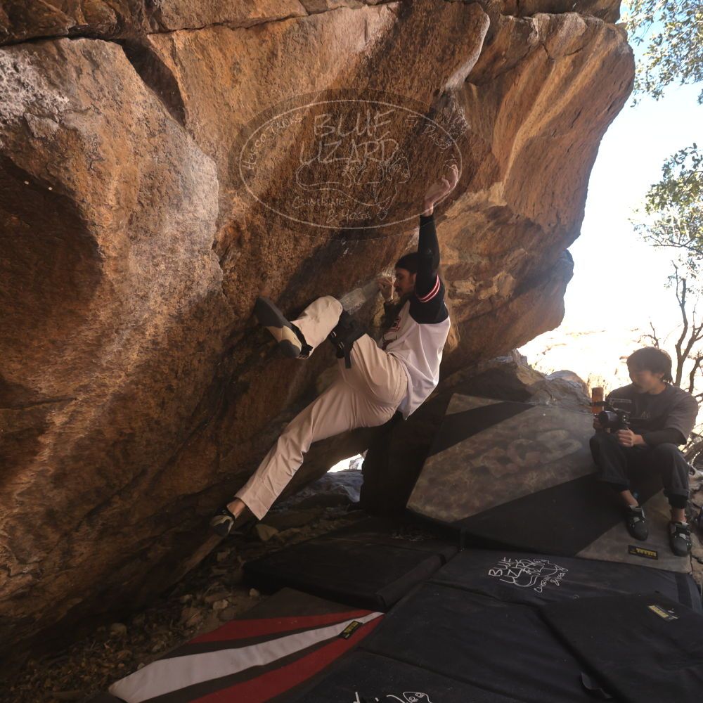 Filename: SRM_20260118_1140550.jpg
Aperture: f/5.6
Shutter Speed: 1/500
Body: Canon EOS R6
Lens: Canon EF 16-35mm f/2.8 L