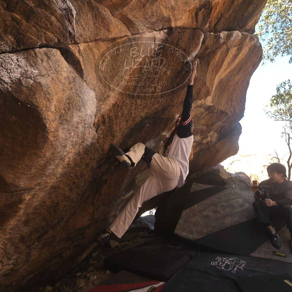 

Filename: SRM_20260118_1140560.jpg
Aperture: f/5.6
Shutter Speed: 1/500
Body: Canon EOS R6
Lens: Canon EF 16-35mm f/2.8 L