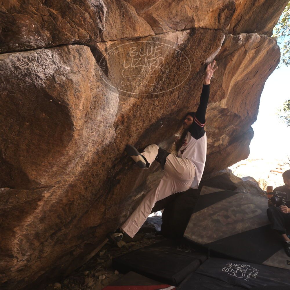 Filename: SRM_20260118_1140590.jpg
Aperture: f/5.6
Shutter Speed: 1/500
Body: Canon EOS R6
Lens: Canon EF 16-35mm f/2.8 L