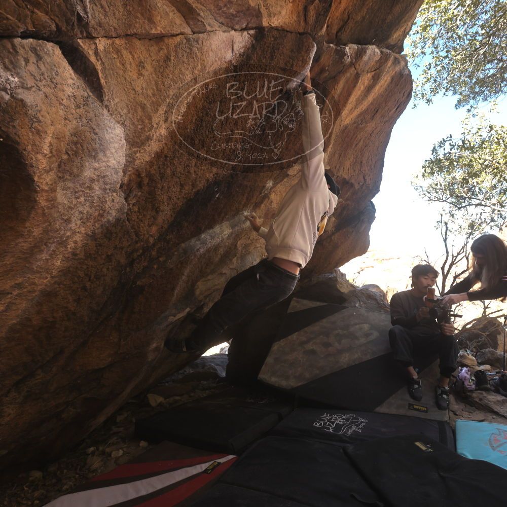 Filename: SRM_20260118_1141571.jpg
Aperture: f/5.6
Shutter Speed: 1/500
Body: Canon EOS R6
Lens: Canon EF 16-35mm f/2.8 L