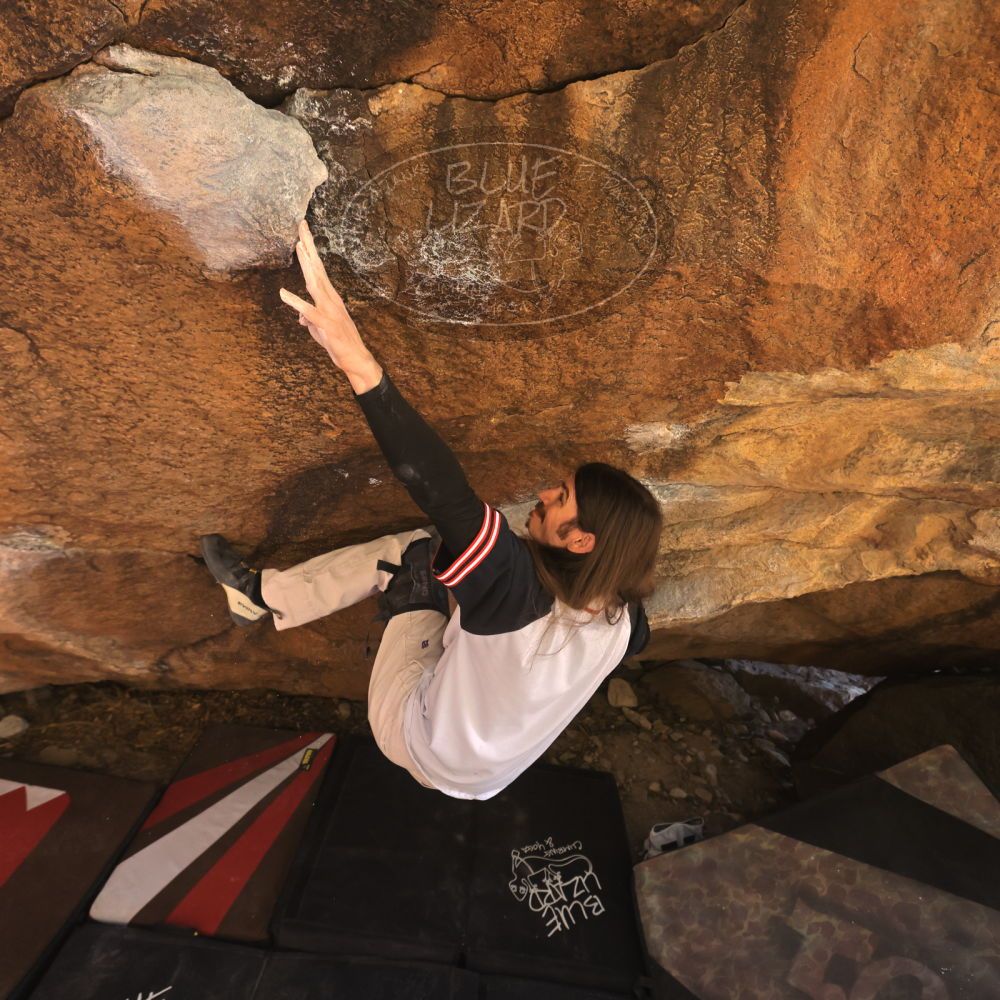 Filename: SRM_20260118_1145440.jpg
Aperture: f/5.6
Shutter Speed: 1/400
Body: Canon EOS R6
Lens: Canon EF 16-35mm f/2.8 L