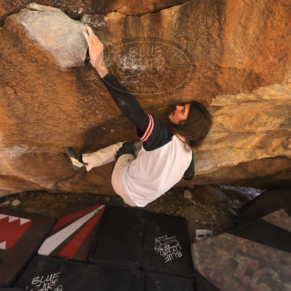 

Filename: SRM_20260118_1146240.jpg
Aperture: f/5.6
Shutter Speed: 1/400
Body: Canon EOS R6
Lens: Canon EF 16-35mm f/2.8 L