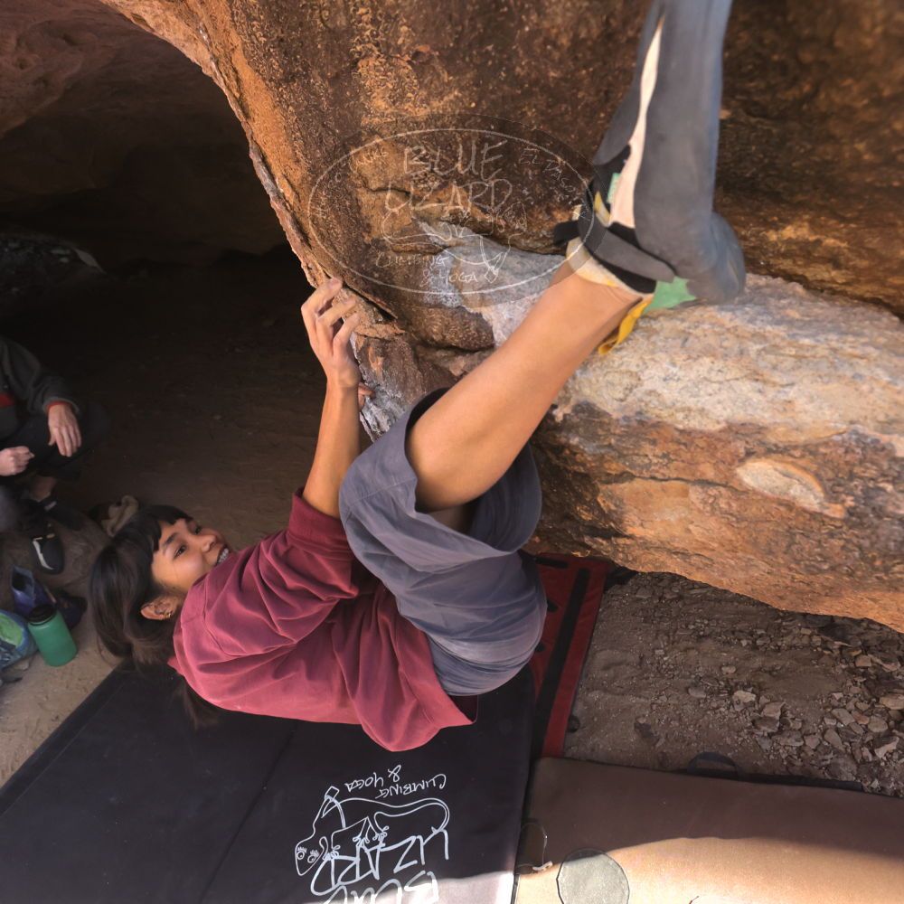 

Filename: SRM_20260118_1156500.jpg
Aperture: f/5.6
Shutter Speed: 1/800
Body: Canon EOS R6
Lens: Canon EF 16-35mm f/2.8 L