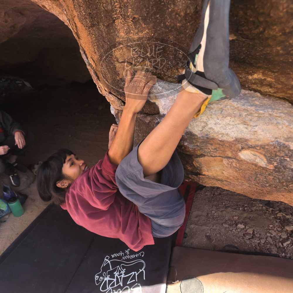 

Filename: SRM_20260118_1156501.jpg
Aperture: f/5.6
Shutter Speed: 1/800
Body: Canon EOS R6
Lens: Canon EF 16-35mm f/2.8 L