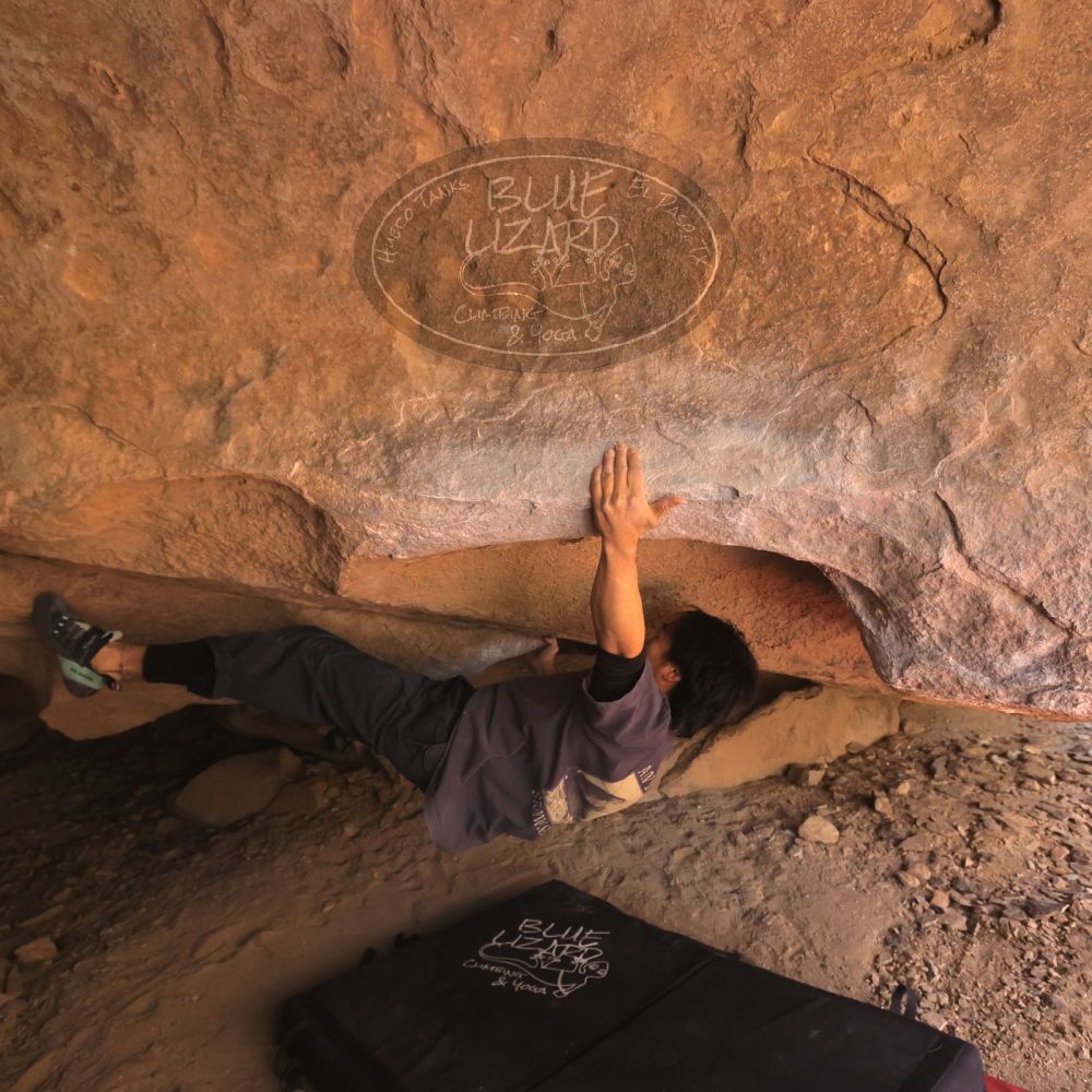 

Filename: SRM_20260118_1200200.jpg
Aperture: f/5.6
Shutter Speed: 1/400
Body: Canon EOS R6
Lens: Canon EF 16-35mm f/2.8 L