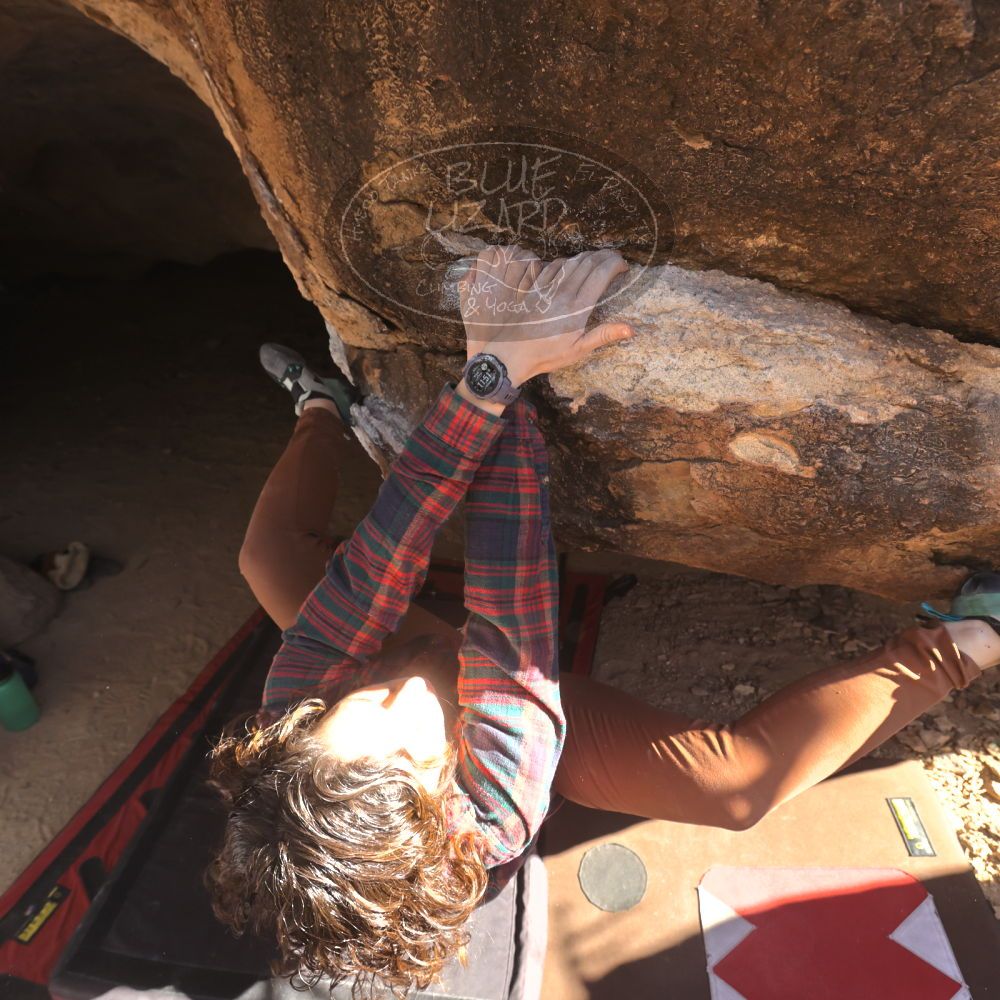 

Filename: SRM_20260118_1202370.jpg
Aperture: f/5.6
Shutter Speed: 1/500
Body: Canon EOS R6
Lens: Canon EF 16-35mm f/2.8 L