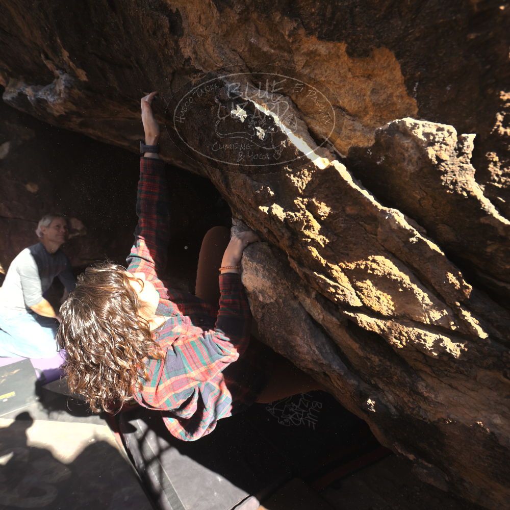 

Filename: SRM_20260118_1202460.jpg
Aperture: f/5.6
Shutter Speed: 1/1250
Body: Canon EOS R6
Lens: Canon EF 16-35mm f/2.8 L