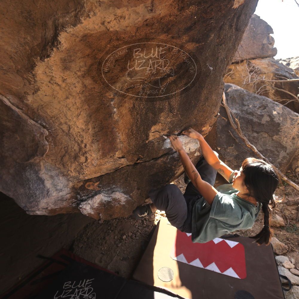 

Filename: SRM_20260118_1205360.jpg
Aperture: f/5.6
Shutter Speed: 1/500
Body: Canon EOS R6
Lens: Canon EF 16-35mm f/2.8 L