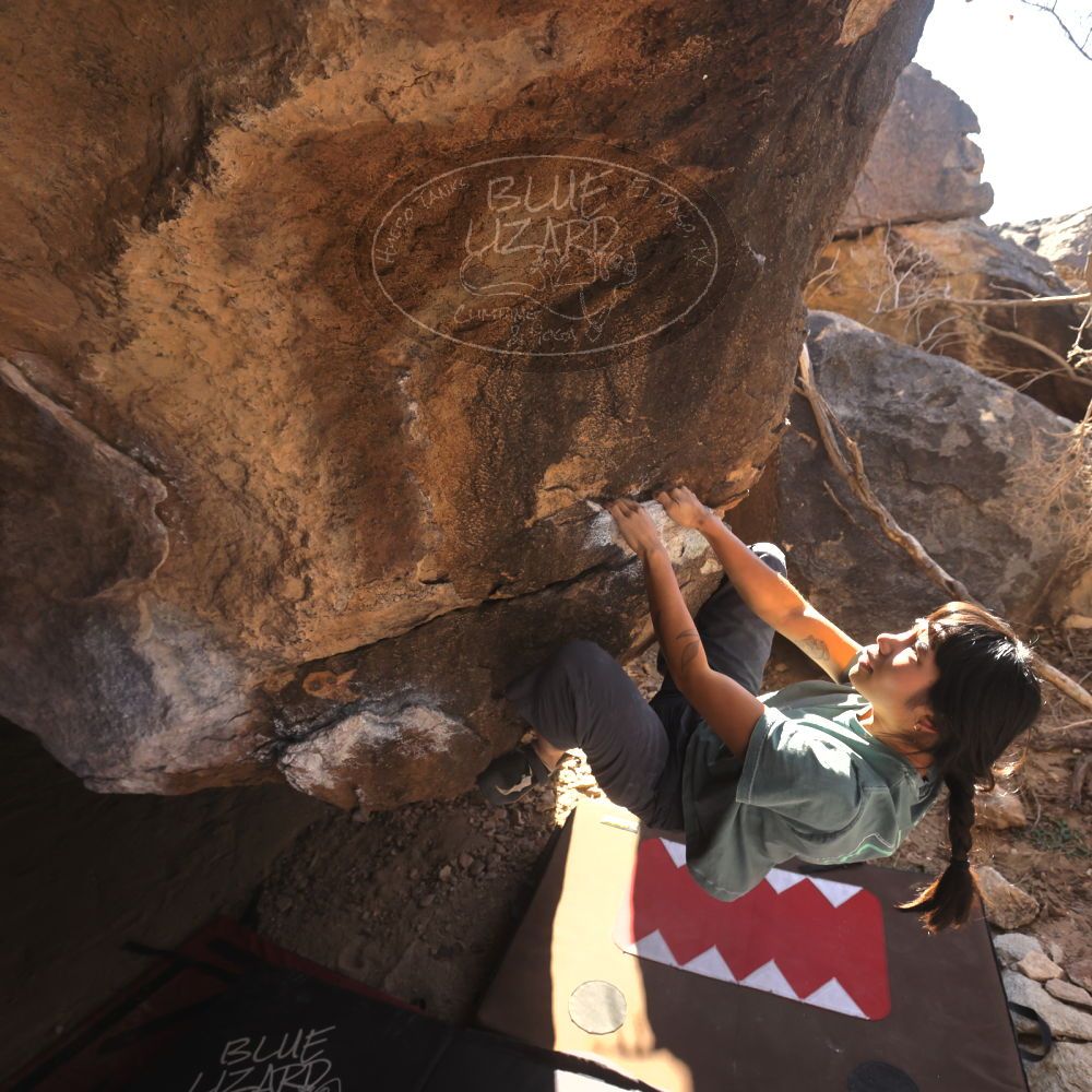 

Filename: SRM_20260118_1205370.jpg
Aperture: f/5.6
Shutter Speed: 1/500
Body: Canon EOS R6
Lens: Canon EF 16-35mm f/2.8 L