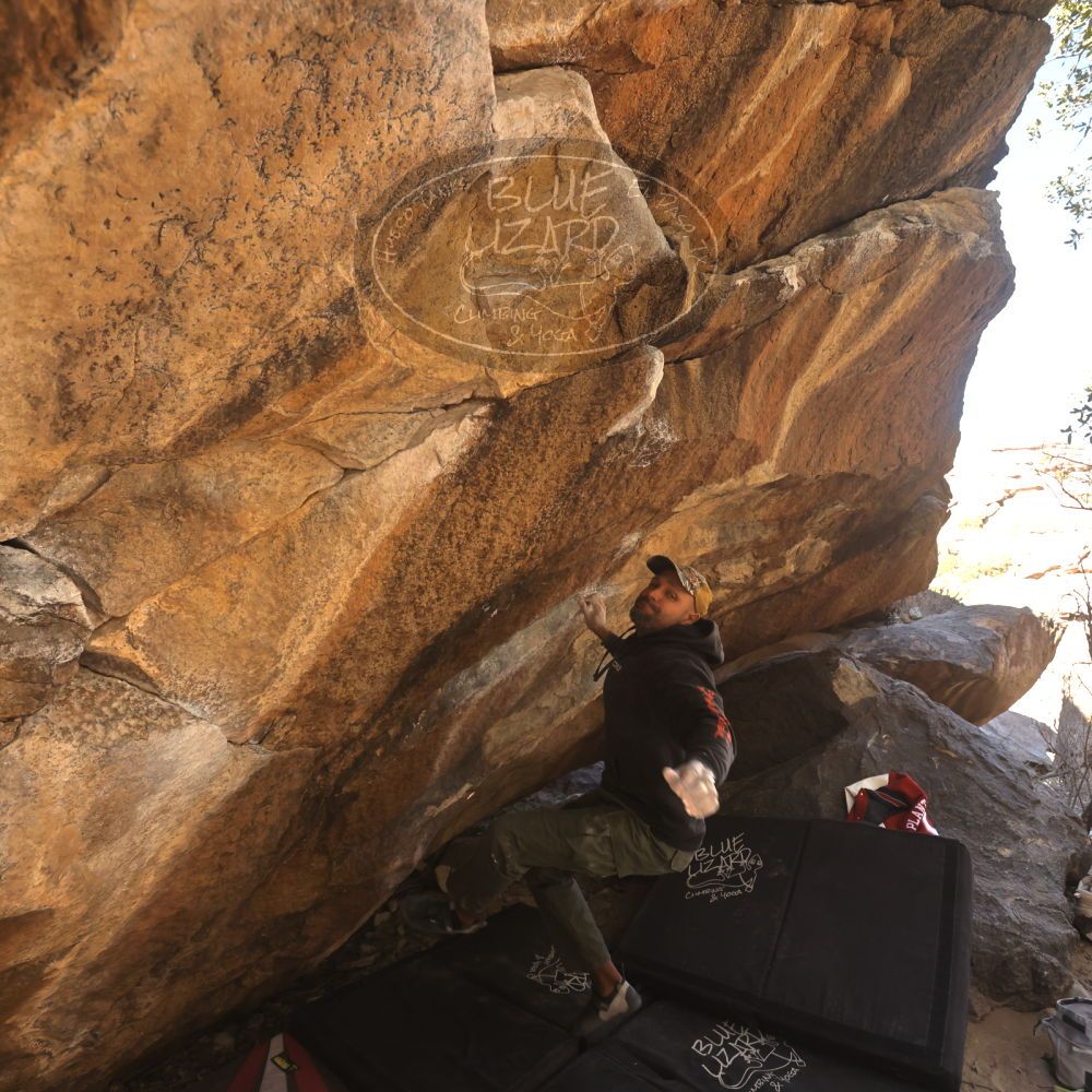 

Filename: SRM_20260118_1207520.jpg
Aperture: f/5.6
Shutter Speed: 1/500
Body: Canon EOS R6
Lens: Canon EF 16-35mm f/2.8 L