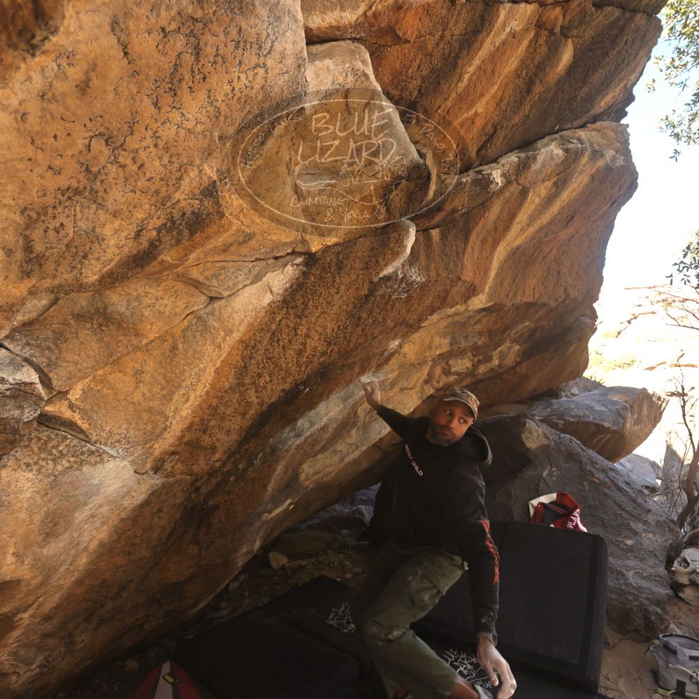 

Filename: SRM_20260118_1207521.jpg
Aperture: f/5.6
Shutter Speed: 1/500
Body: Canon EOS R6
Lens: Canon EF 16-35mm f/2.8 L