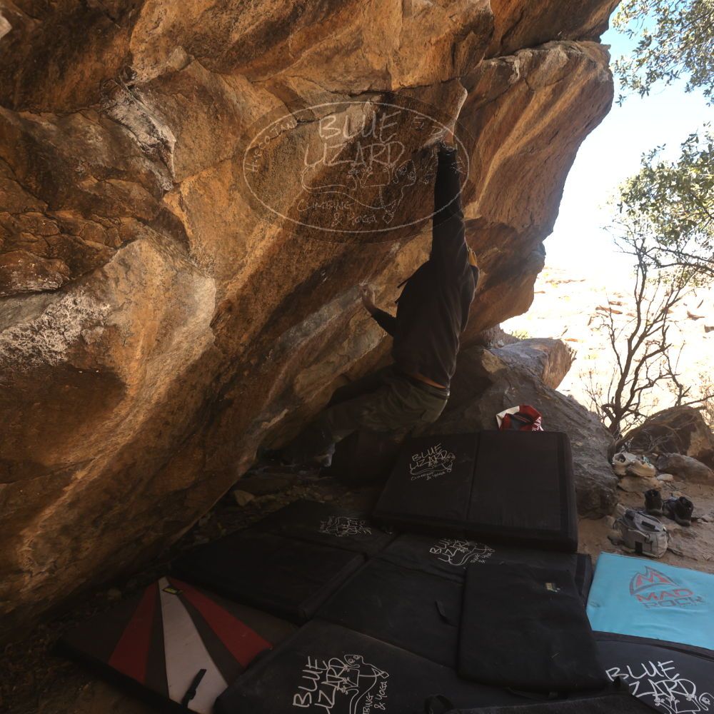 

Filename: SRM_20260118_1209180.jpg
Aperture: f/5.6
Shutter Speed: 1/500
Body: Canon EOS R6
Lens: Canon EF 16-35mm f/2.8 L