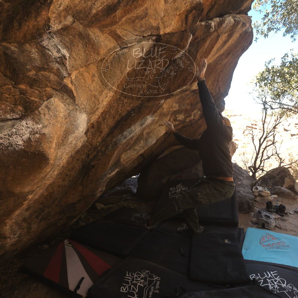 

Filename: SRM_20260118_1209182.jpg
Aperture: f/5.6
Shutter Speed: 1/500
Body: Canon EOS R6
Lens: Canon EF 16-35mm f/2.8 L