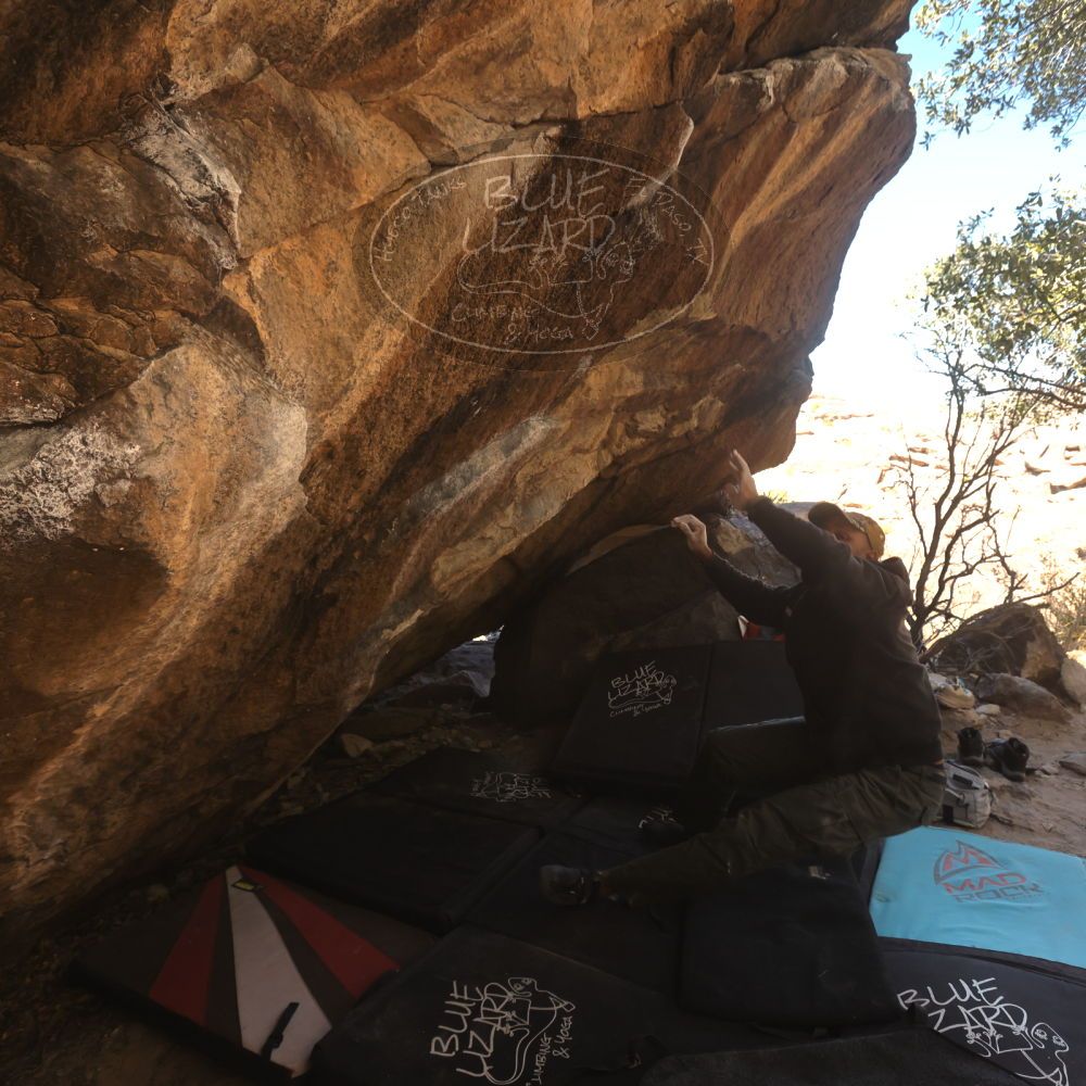 

Filename: SRM_20260118_1209183.jpg
Aperture: f/5.6
Shutter Speed: 1/500
Body: Canon EOS R6
Lens: Canon EF 16-35mm f/2.8 L