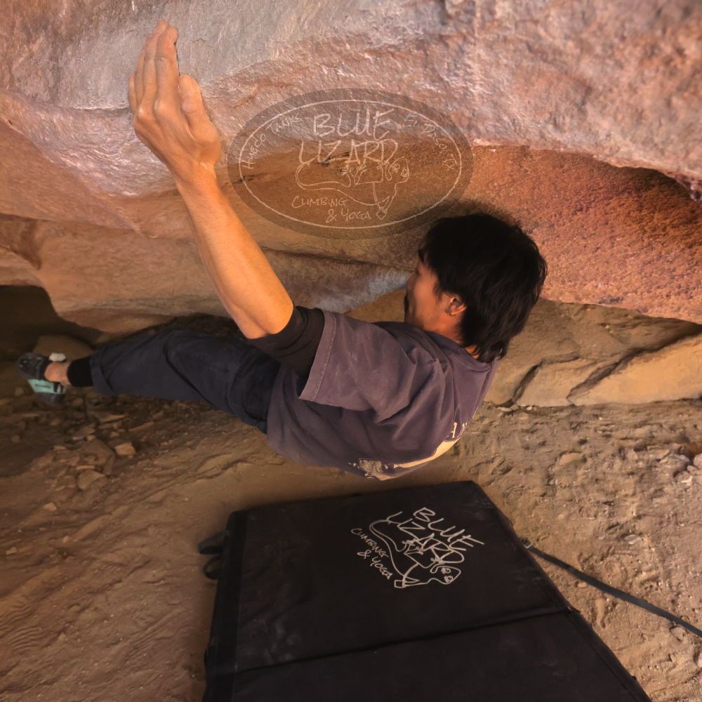 Filename: SRM_20260118_1211260.jpg
Aperture: f/5.6
Shutter Speed: 1/400
Body: Canon EOS R6
Lens: Canon EF 16-35mm f/2.8 L