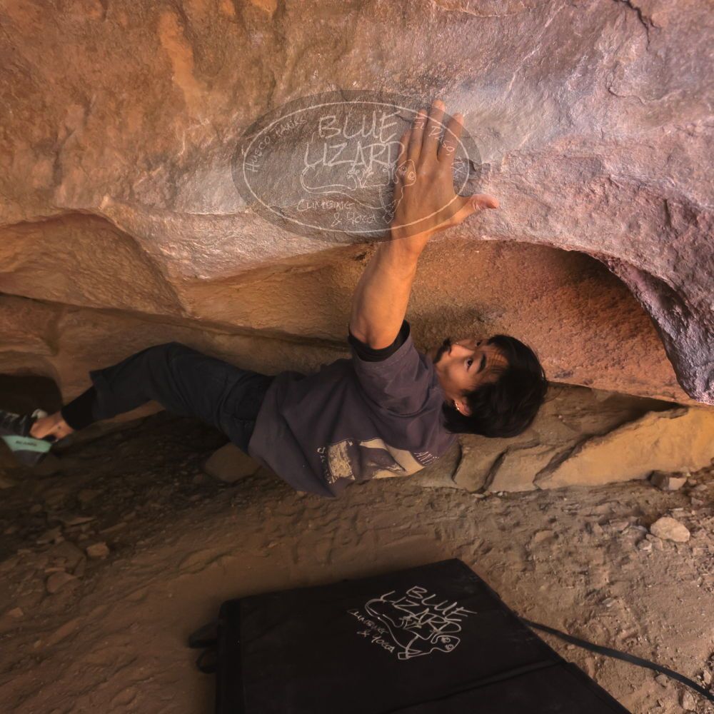 

Filename: SRM_20260118_1211480.jpg
Aperture: f/5.6
Shutter Speed: 1/400
Body: Canon EOS R6
Lens: Canon EF 16-35mm f/2.8 L