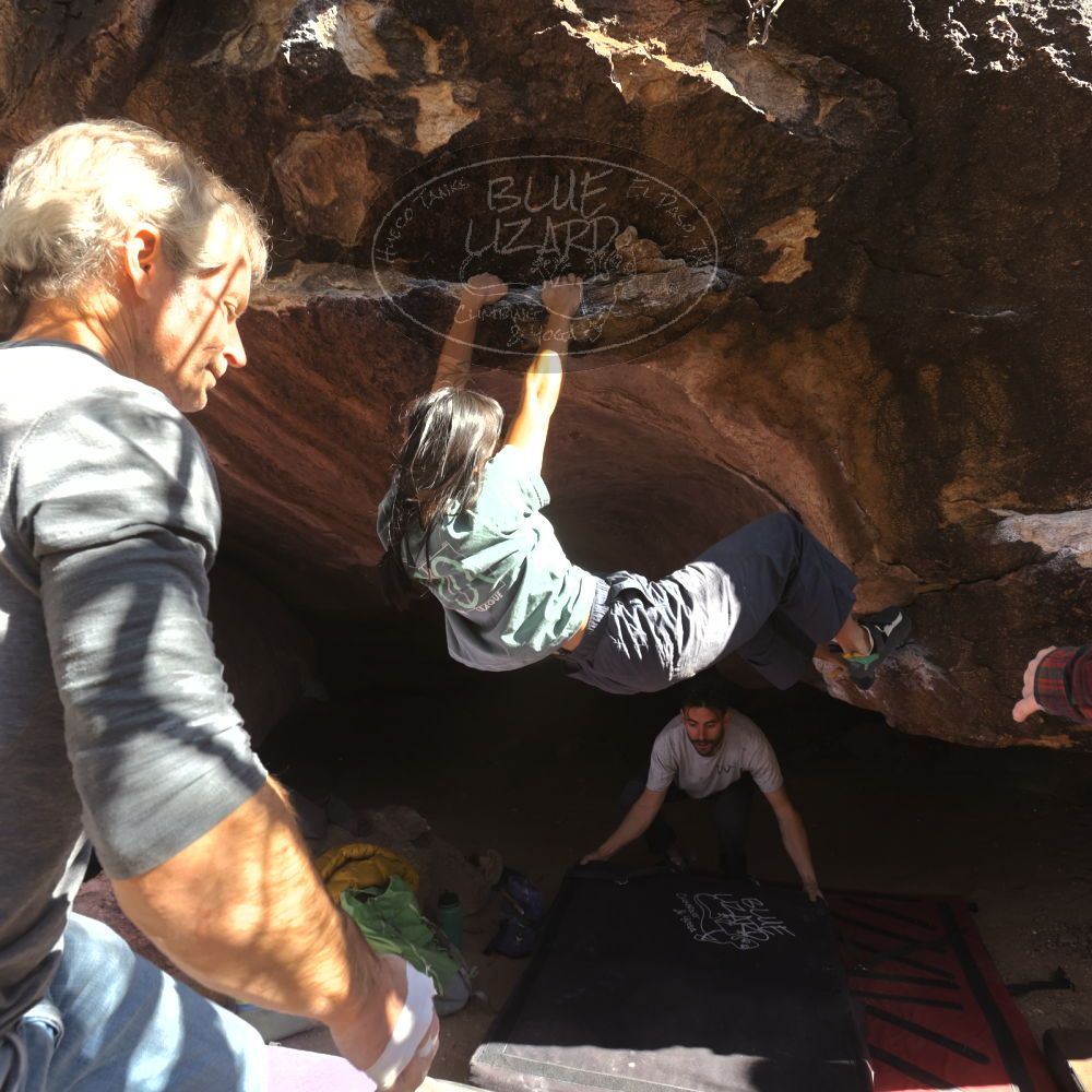 

Filename: SRM_20260118_1215100.jpg
Aperture: f/5.6
Shutter Speed: 1/400
Body: Canon EOS R6
Lens: Canon EF 16-35mm f/2.8 L