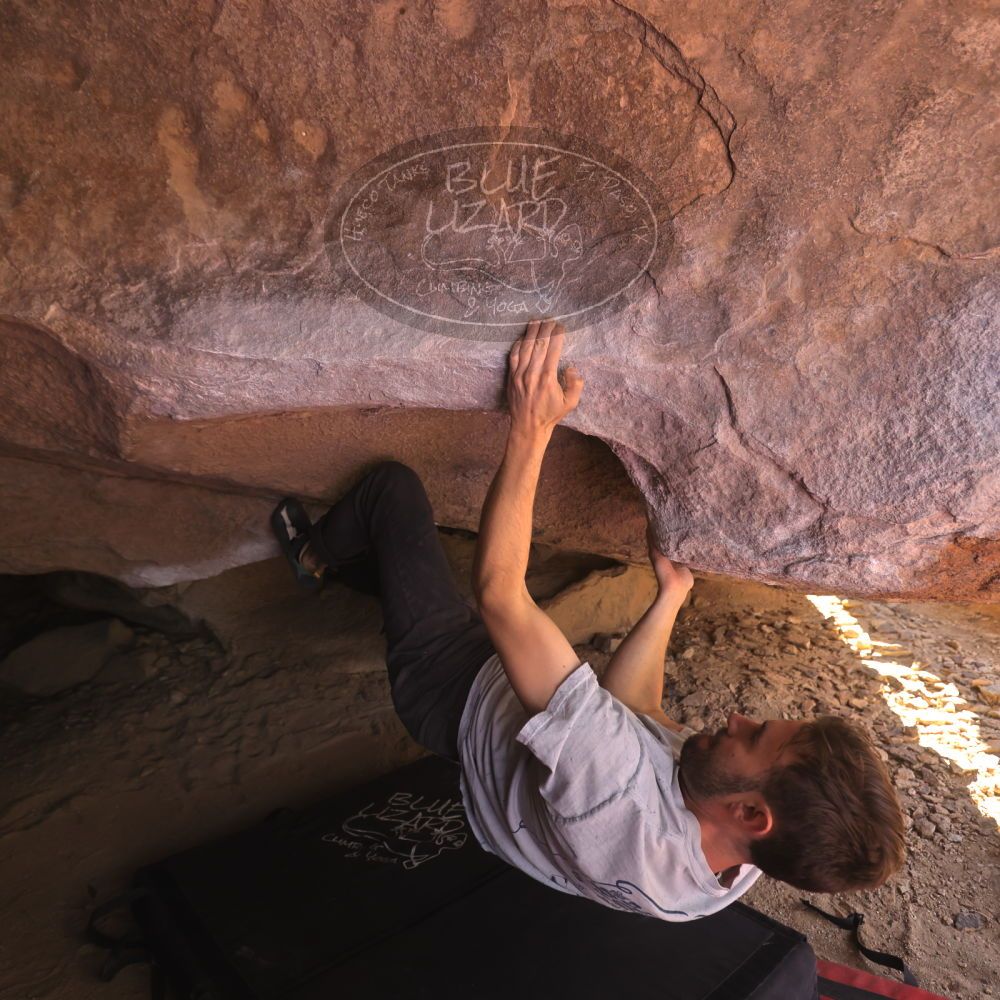 Filename: SRM_20260118_1218530.jpg
Aperture: f/4.0
Shutter Speed: 1/320
Body: Canon EOS R6
Lens: Canon EF 16-35mm f/2.8 L