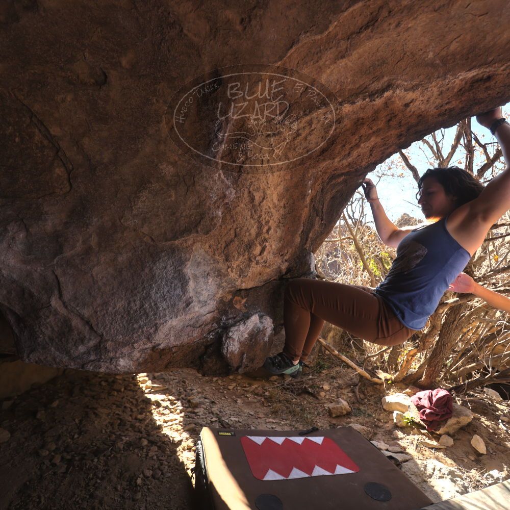 

Filename: SRM_20260118_1220330.jpg
Aperture: f/4.0
Shutter Speed: 1/320
Body: Canon EOS R6
Lens: Canon EF 16-35mm f/2.8 L