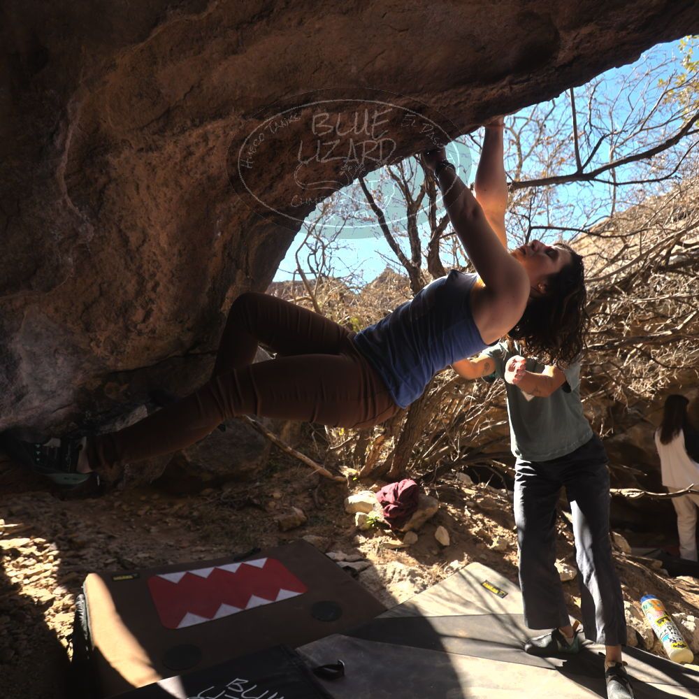 Filename: SRM_20260118_1220360.jpg
Aperture: f/4.0
Shutter Speed: 1/320
Body: Canon EOS R6
Lens: Canon EF 16-35mm f/2.8 L