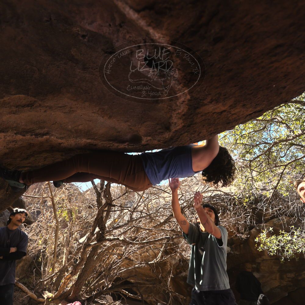 Filename: SRM_20260118_1220540.jpg
Aperture: f/4.0
Shutter Speed: 1/320
Body: Canon EOS R6
Lens: Canon EF 16-35mm f/2.8 L