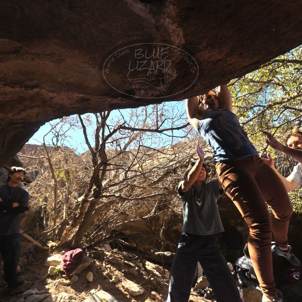 Filename: SRM_20260118_1220550.jpg
Aperture: f/4.0
Shutter Speed: 1/320
Body: Canon EOS R6
Lens: Canon EF 16-35mm f/2.8 L