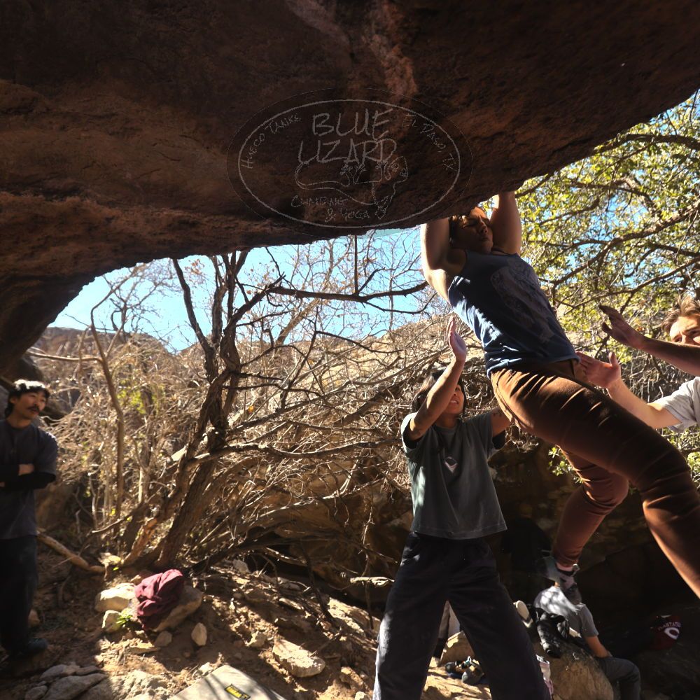 

Filename: SRM_20260118_1220551.jpg
Aperture: f/4.0
Shutter Speed: 1/320
Body: Canon EOS R6
Lens: Canon EF 16-35mm f/2.8 L