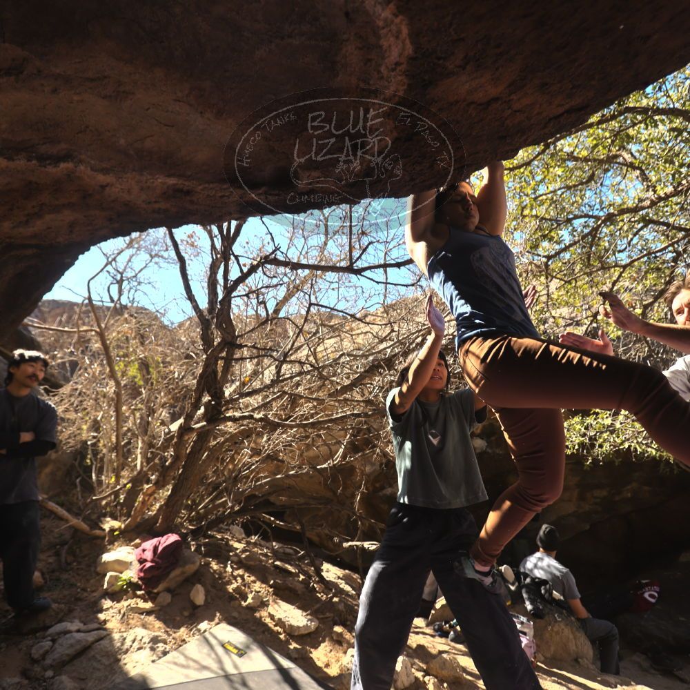 

Filename: SRM_20260118_1220552.jpg
Aperture: f/4.0
Shutter Speed: 1/320
Body: Canon EOS R6
Lens: Canon EF 16-35mm f/2.8 L