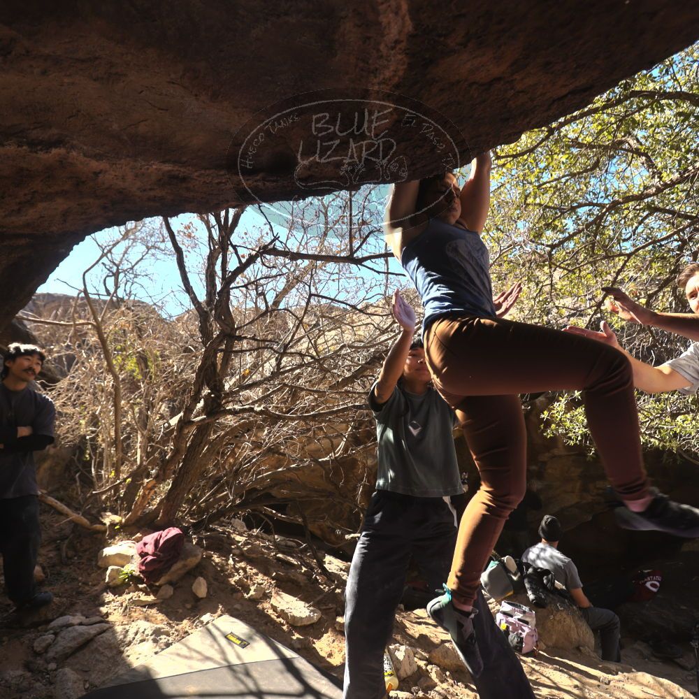 

Filename: SRM_20260118_1220560.jpg
Aperture: f/4.0
Shutter Speed: 1/320
Body: Canon EOS R6
Lens: Canon EF 16-35mm f/2.8 L