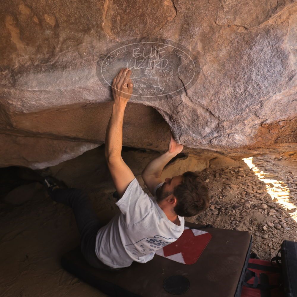 Filename: SRM_20260118_1223001.jpg
Aperture: f/4.0
Shutter Speed: 1/320
Body: Canon EOS R6
Lens: Canon EF 16-35mm f/2.8 L