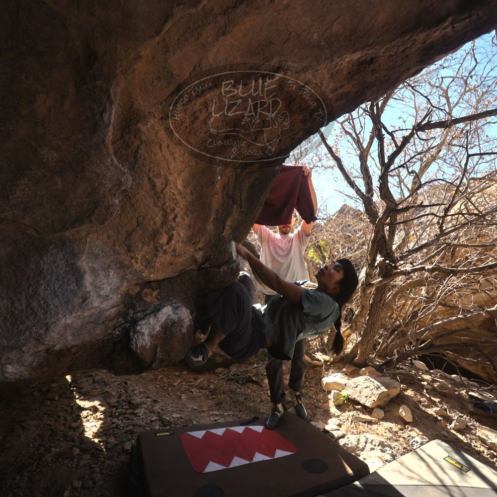 Filename: SRM_20260118_1228200.jpg
Aperture: f/4.0
Shutter Speed: 1/320
Body: Canon EOS R6
Lens: Canon EF 16-35mm f/2.8 L