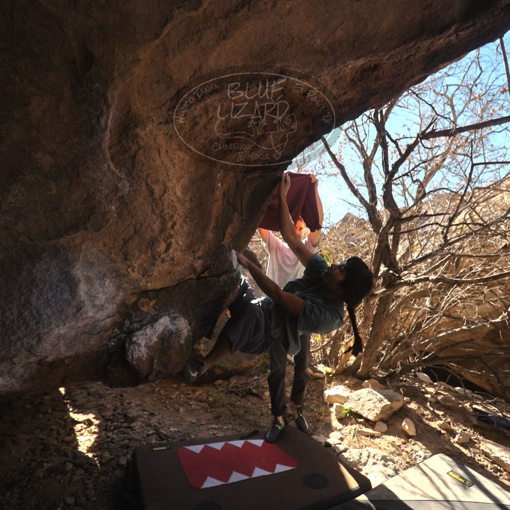 

Filename: SRM_20260118_1228220.jpg
Aperture: f/4.0
Shutter Speed: 1/320
Body: Canon EOS R6
Lens: Canon EF 16-35mm f/2.8 L