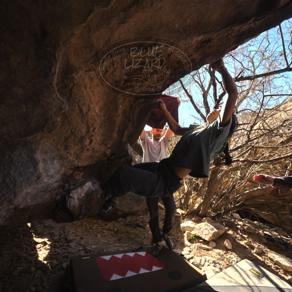 

Filename: SRM_20260118_1228250.jpg
Aperture: f/4.0
Shutter Speed: 1/320
Body: Canon EOS R6
Lens: Canon EF 16-35mm f/2.8 L