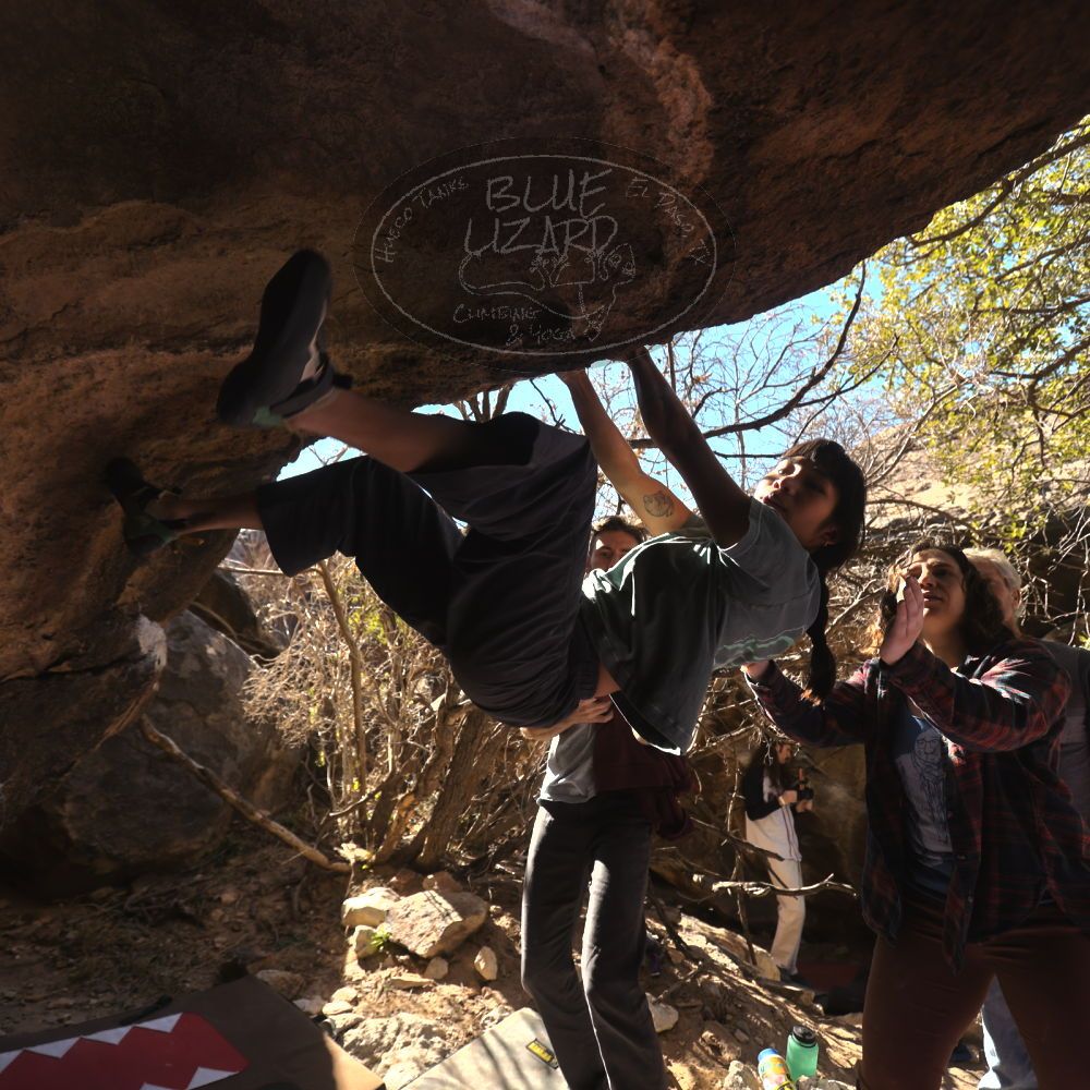 

Filename: SRM_20260118_1228380.jpg
Aperture: f/4.0
Shutter Speed: 1/320
Body: Canon EOS R6
Lens: Canon EF 16-35mm f/2.8 L