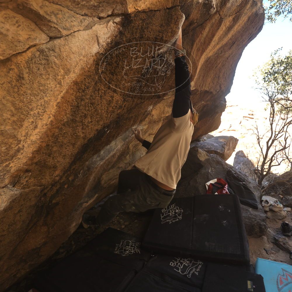 

Filename: SRM_20260118_1229281.jpg
Aperture: f/4.0
Shutter Speed: 1/320
Body: Canon EOS R6
Lens: Canon EF 16-35mm f/2.8 L