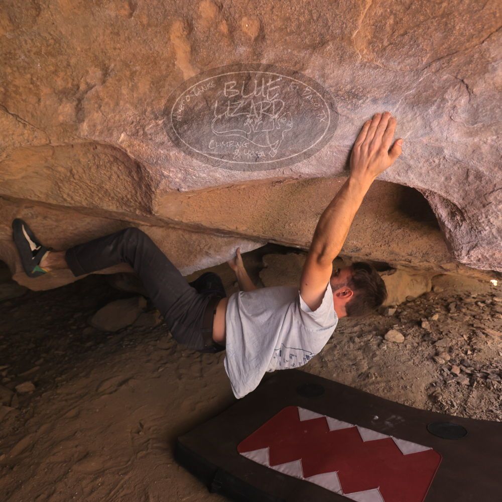 Filename: SRM_20260118_1234180.jpg
Aperture: f/4.0
Shutter Speed: 1/400
Body: Canon EOS R6
Lens: Canon EF 16-35mm f/2.8 L