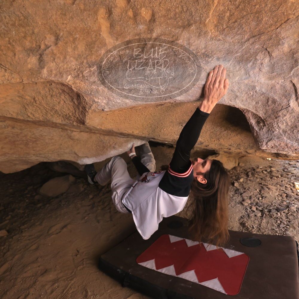 Filename: SRM_20260118_1236340.jpg
Aperture: f/4.0
Shutter Speed: 1/400
Body: Canon EOS R6
Lens: Canon EF 16-35mm f/2.8 L