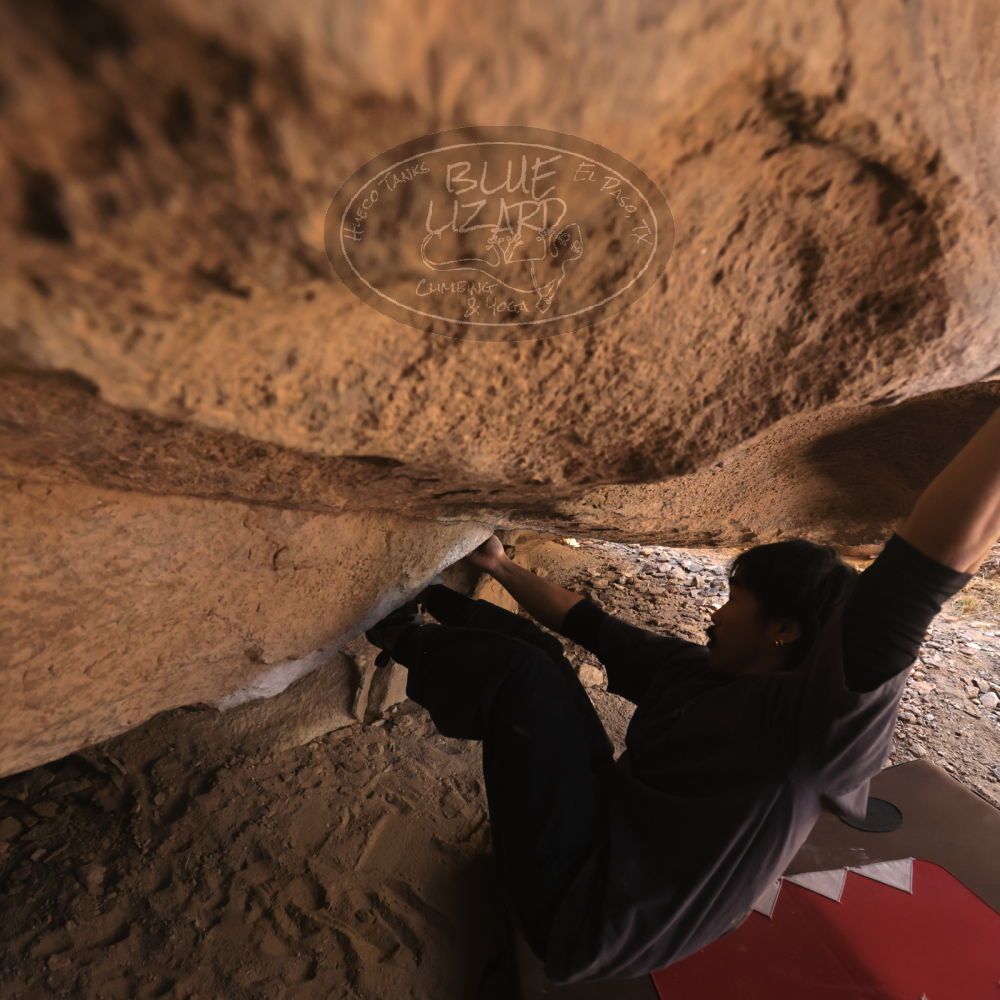 Filename: SRM_20260118_1238430.jpg
Aperture: f/4.0
Shutter Speed: 1/400
Body: Canon EOS R6
Lens: Canon EF 16-35mm f/2.8 L