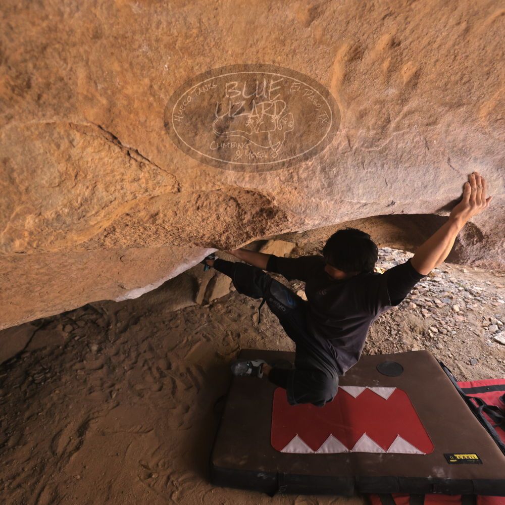 Filename: SRM_20260118_1238530.jpg
Aperture: f/4.0
Shutter Speed: 1/400
Body: Canon EOS R6
Lens: Canon EF 16-35mm f/2.8 L