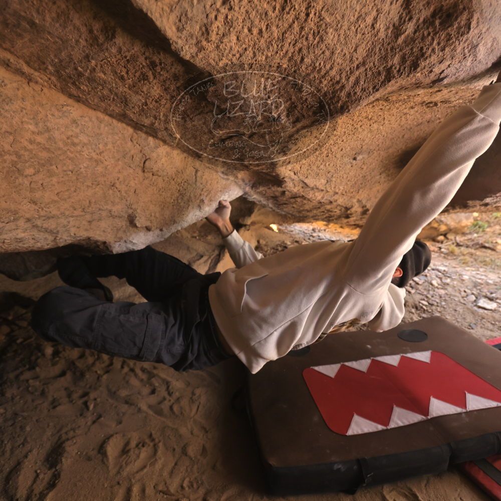 Filename: SRM_20260118_1241111.jpg
Aperture: f/4.0
Shutter Speed: 1/400
Body: Canon EOS R6
Lens: Canon EF 16-35mm f/2.8 L