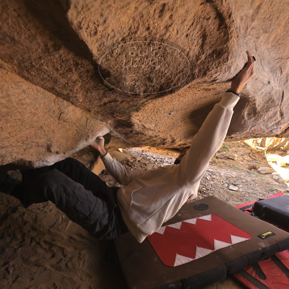 

Filename: SRM_20260118_1241120.jpg
Aperture: f/4.0
Shutter Speed: 1/400
Body: Canon EOS R6
Lens: Canon EF 16-35mm f/2.8 L