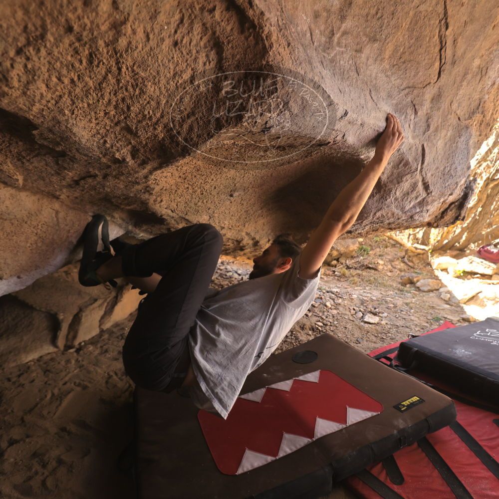 Filename: SRM_20260118_1242080.jpg
Aperture: f/4.0
Shutter Speed: 1/400
Body: Canon EOS R6
Lens: Canon EF 16-35mm f/2.8 L