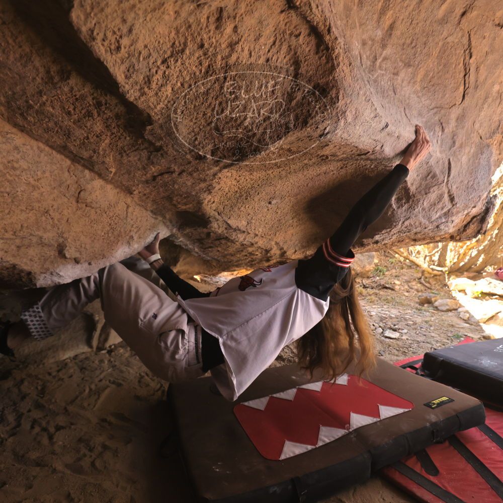 Filename: SRM_20260118_1243370.jpg
Aperture: f/4.0
Shutter Speed: 1/400
Body: Canon EOS R6
Lens: Canon EF 16-35mm f/2.8 L