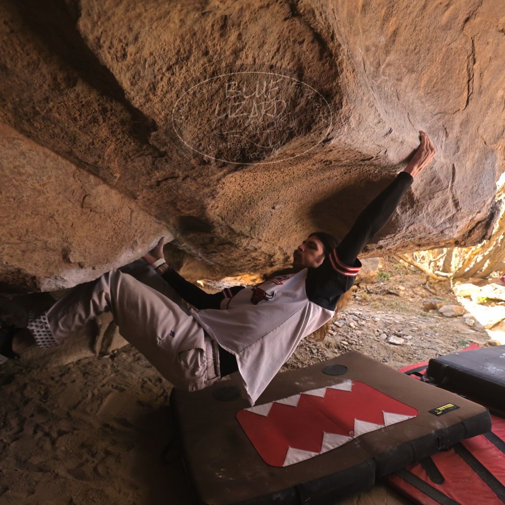 

Filename: SRM_20260118_1243371.jpg
Aperture: f/4.0
Shutter Speed: 1/400
Body: Canon EOS R6
Lens: Canon EF 16-35mm f/2.8 L