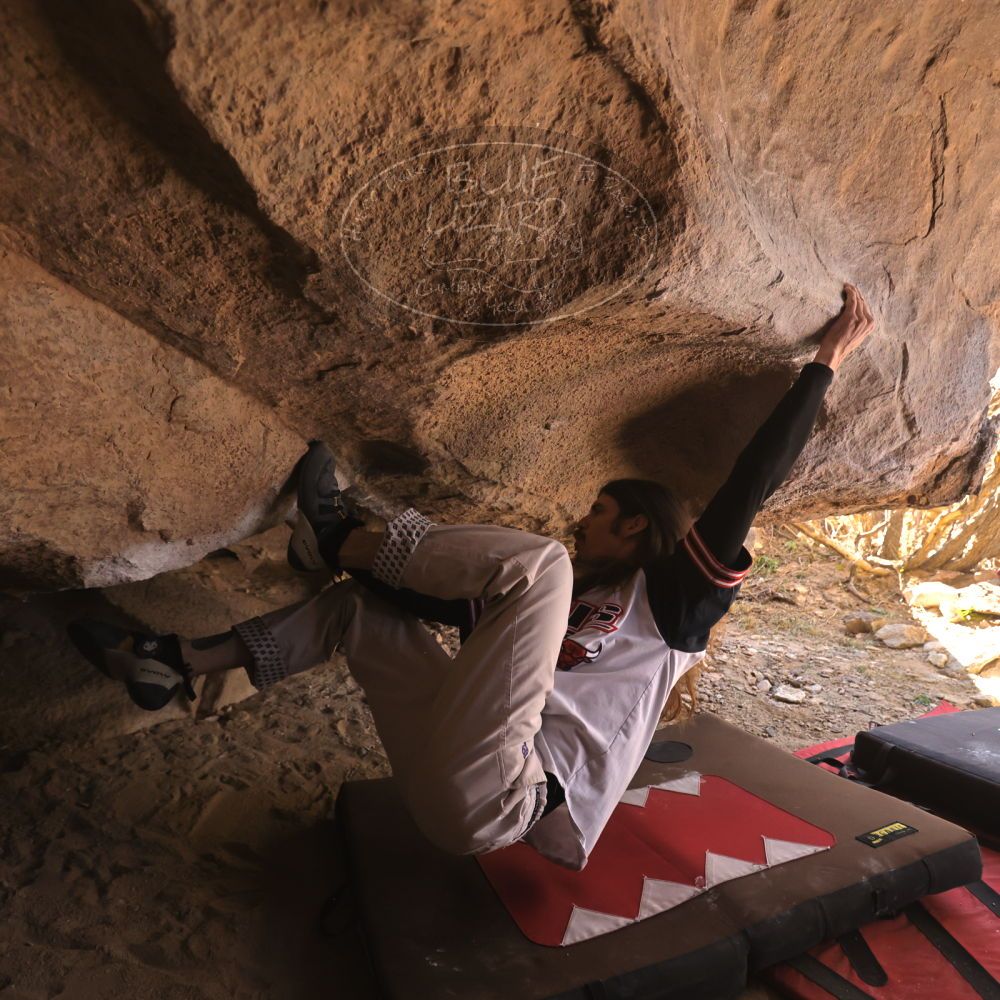 

Filename: SRM_20260118_1243400.jpg
Aperture: f/4.0
Shutter Speed: 1/400
Body: Canon EOS R6
Lens: Canon EF 16-35mm f/2.8 L