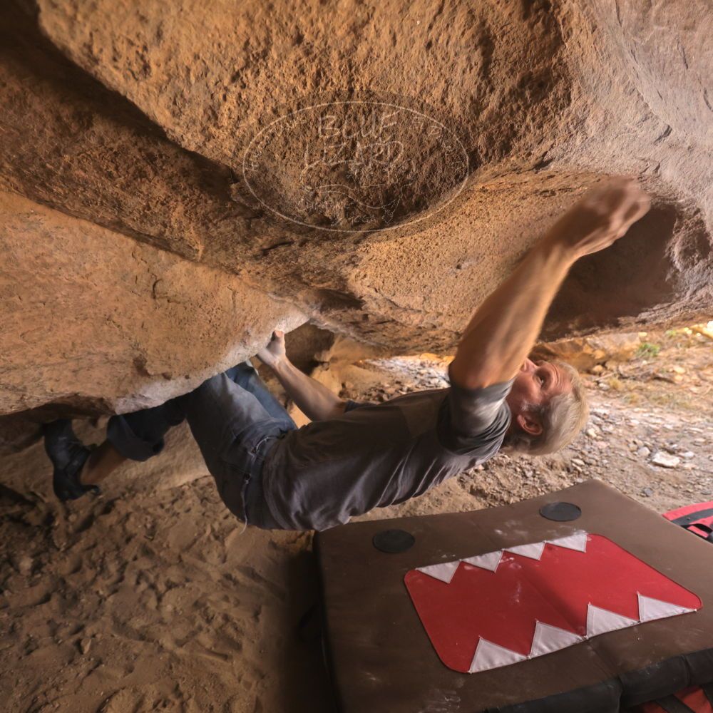 Filename: SRM_20260118_1247440.jpg
Aperture: f/4.0
Shutter Speed: 1/400
Body: Canon EOS R6
Lens: Canon EF 16-35mm f/2.8 L