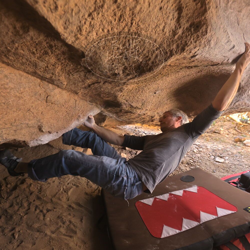 Filename: SRM_20260118_1247470.jpg
Aperture: f/4.0
Shutter Speed: 1/400
Body: Canon EOS R6
Lens: Canon EF 16-35mm f/2.8 L