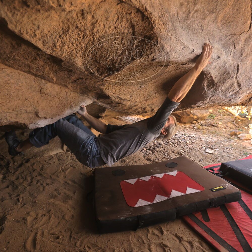 

Filename: SRM_20260118_1248330.jpg
Aperture: f/4.0
Shutter Speed: 1/400
Body: Canon EOS R6
Lens: Canon EF 16-35mm f/2.8 L