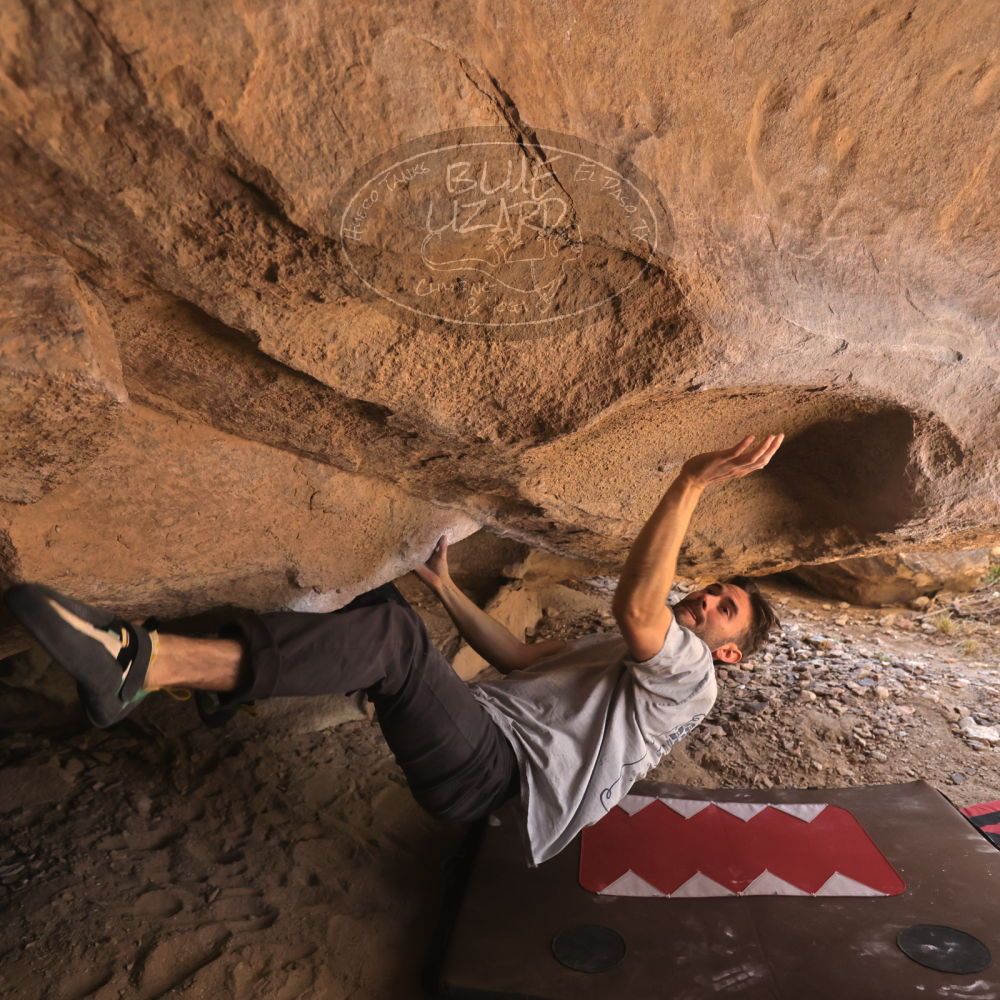 

Filename: SRM_20260118_1257340.jpg
Aperture: f/4.0
Shutter Speed: 1/400
Body: Canon EOS R6
Lens: Canon EF 16-35mm f/2.8 L